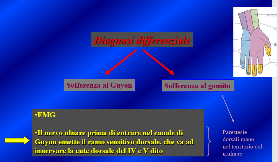 NervoUlnareGomito - Fig.8